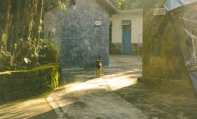 Фото: Unsplash