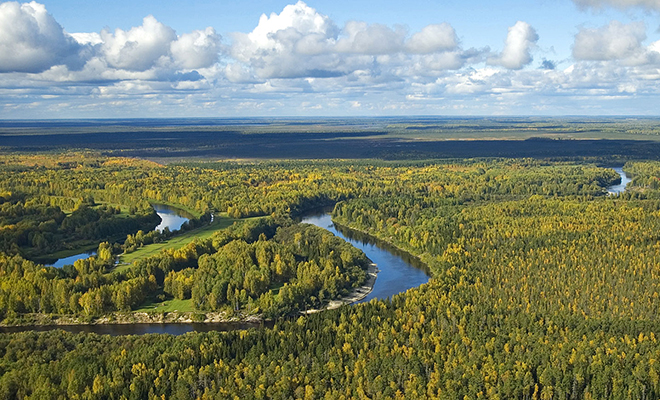Фото: Vadim tLS Andrianov / Вадим tLS Андрианов. from author, CC BY-SA 3.0, Общественное достояние, Wikipedia