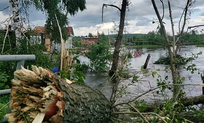 Фото: кадр из видео @tvserov