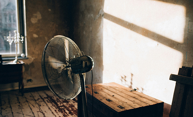 Фото: Unsplash