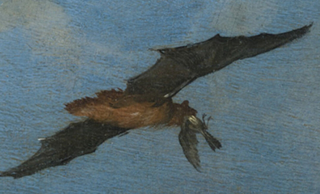Фото: Romero-Vidal et al., PNAS, 2026