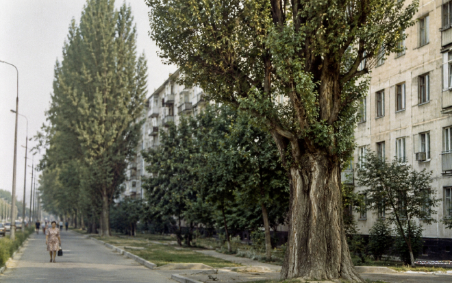 Иллюстрация, созданная ИИ