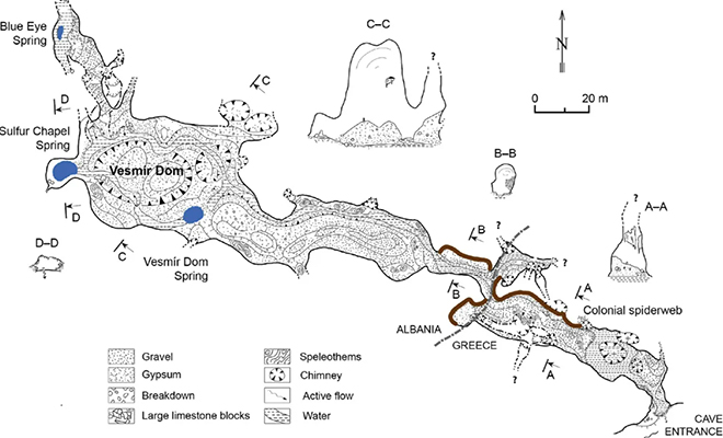 Фото: . Urak et al. / Subterranean Biology / 2025 (CC BY 4.0)