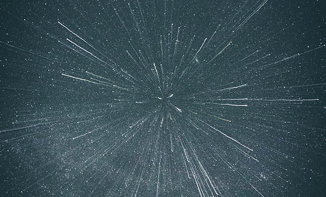 Фото: Unsplash