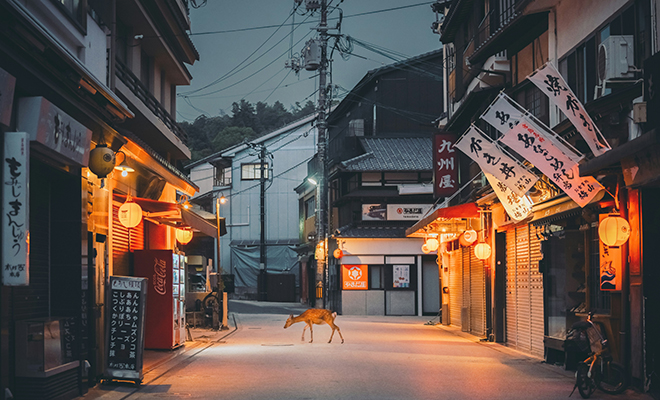 Фото: Unsplash