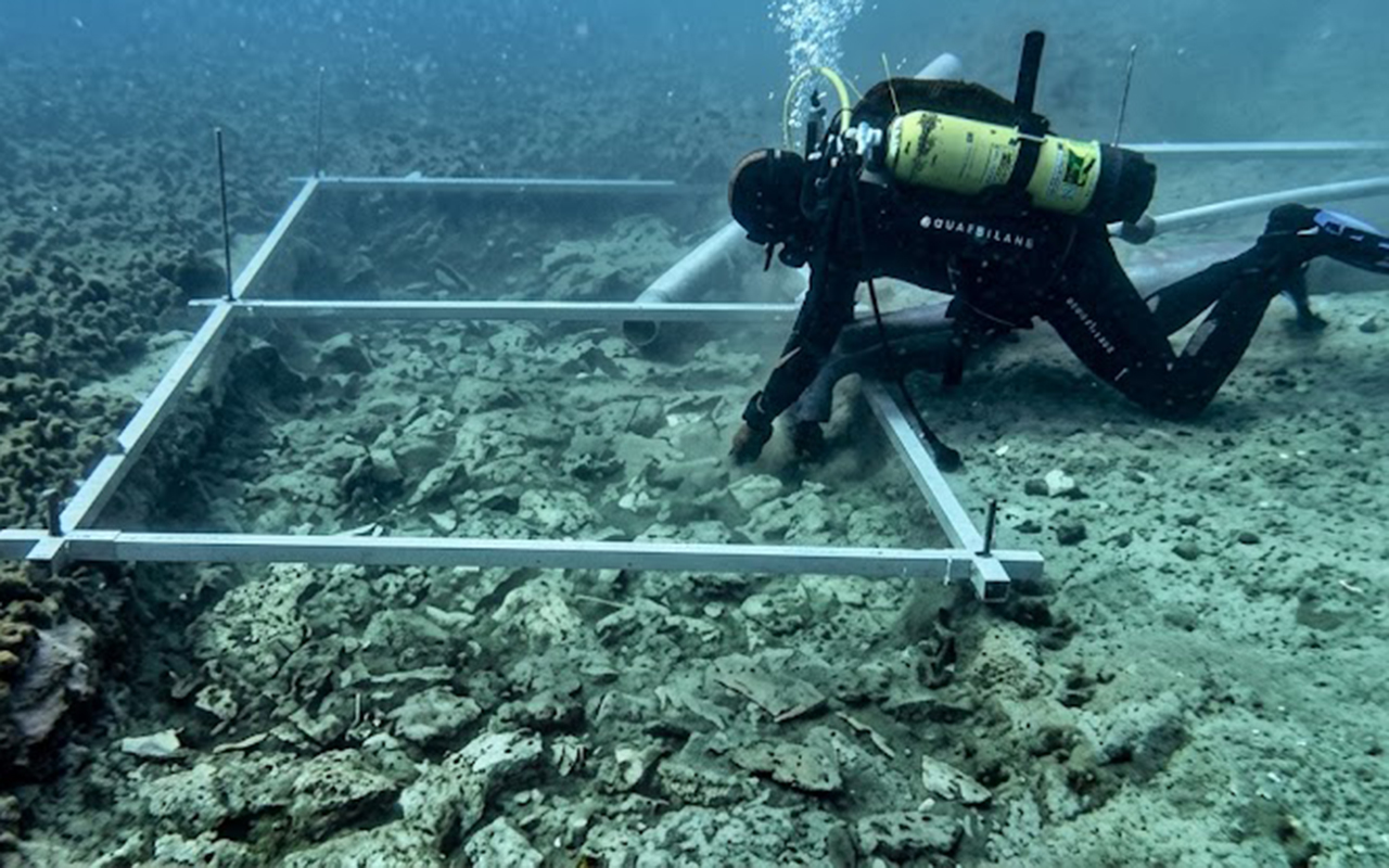 На дне Адриатического моря нашли дорогу возрастом 7000 лет. Она ведет к неизвестному городу