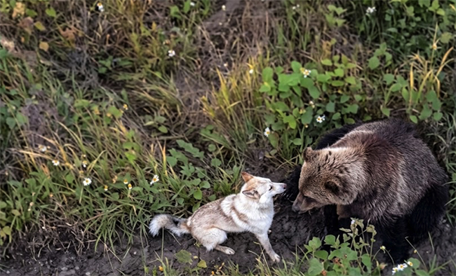 Фото: сгенерировано нейросетью на основе реальных снимков