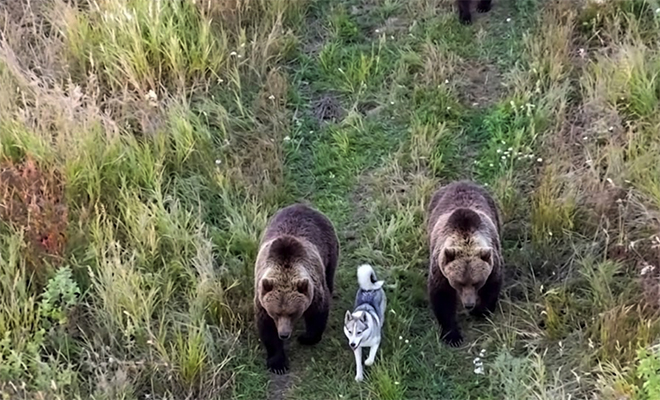 Фото: сгенерировано нейросетью на основе реальных снимков