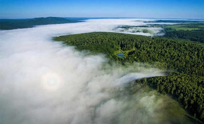 Фото: сгенерировано нейросетью