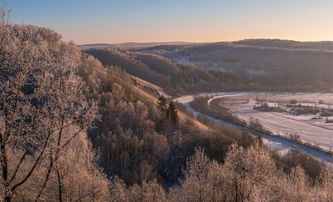 Фото: сгенерировано нейросетью