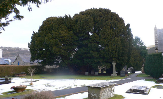 Фото: Eirian Evans, CC BY-SA 2.0, Wikipedia