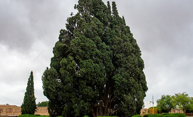Фото: By SJabberwocky - Own work, CC BY 4.0, Wikipedia