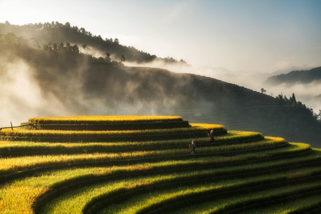 Фото: Unsplash