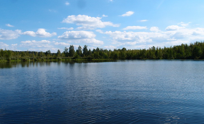Фото: Olgazax. Собственная работа, CC BY-SA 4.0, Wikipedia