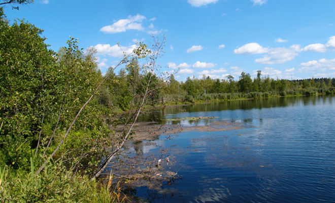 Фото: Olgazax. Собственная работа, CC BY-SA 4.0, Wikipedia
