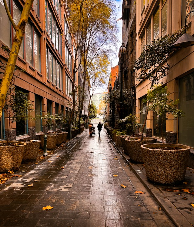 Фото: Unsplash