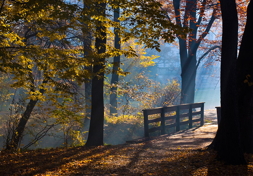 Wikimedia: лучшие фото года Исторический парк при замке, автор Jacek Cisło, Польша