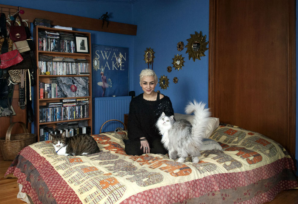 ������, 26, �������