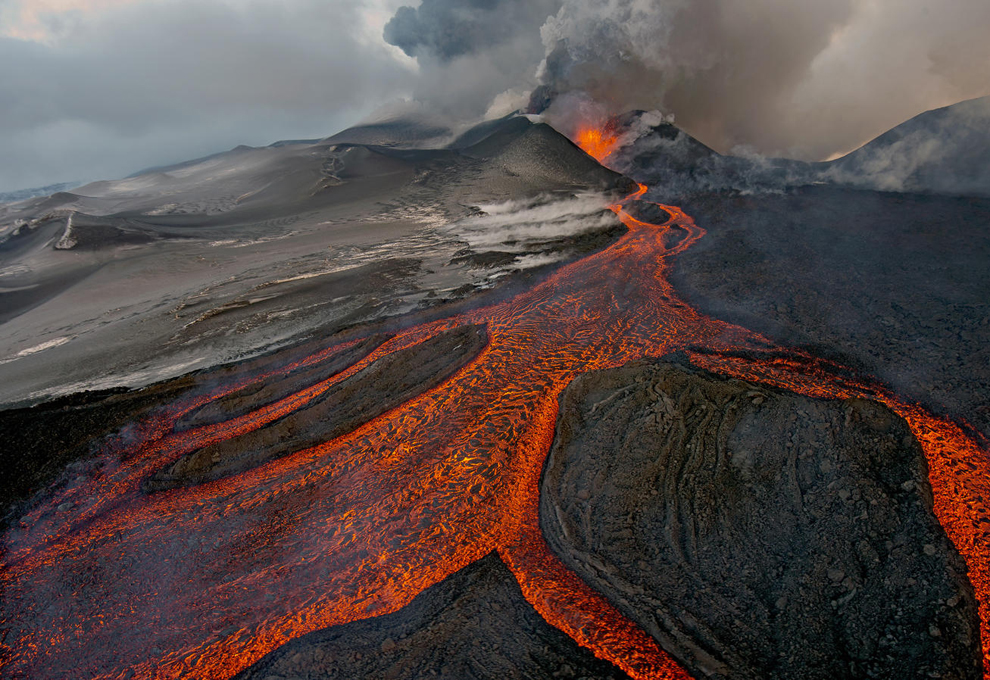 Лучшие фото дикой природы 2013