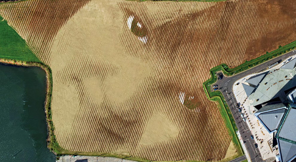 11-акровый портрет