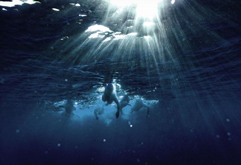 Подводные игры Курта Арриго