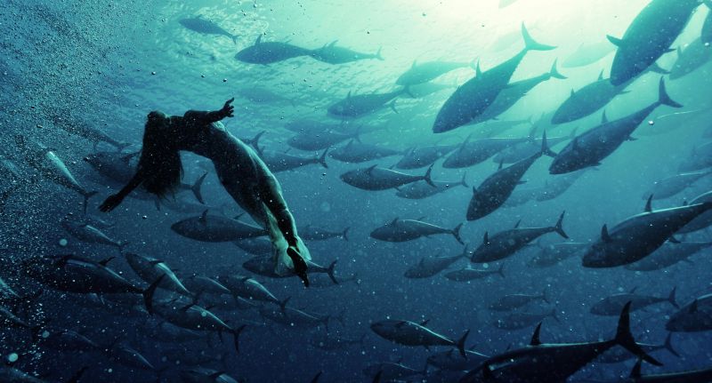 Подводные игры Курта Арриго