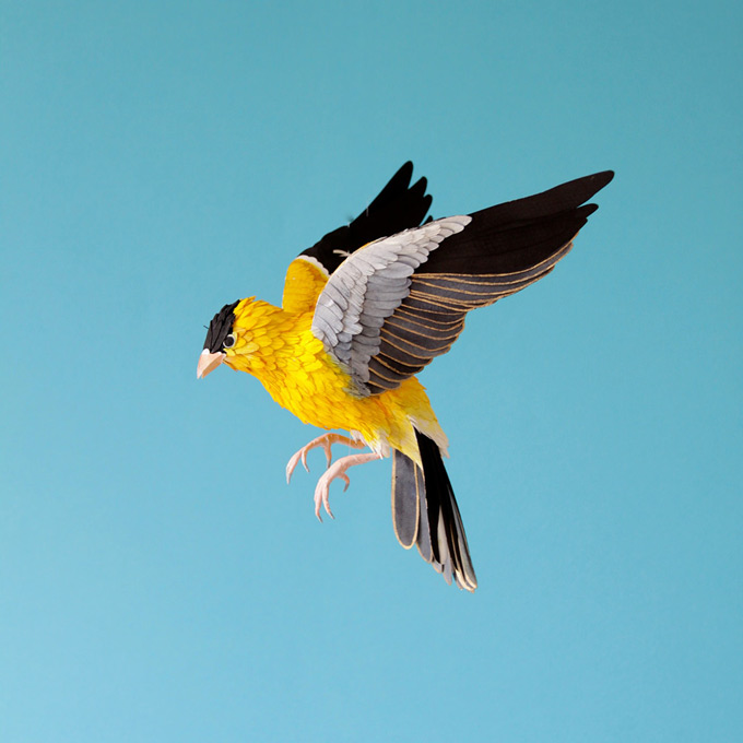 Бумажные птицы Дианы Белтран Херреры