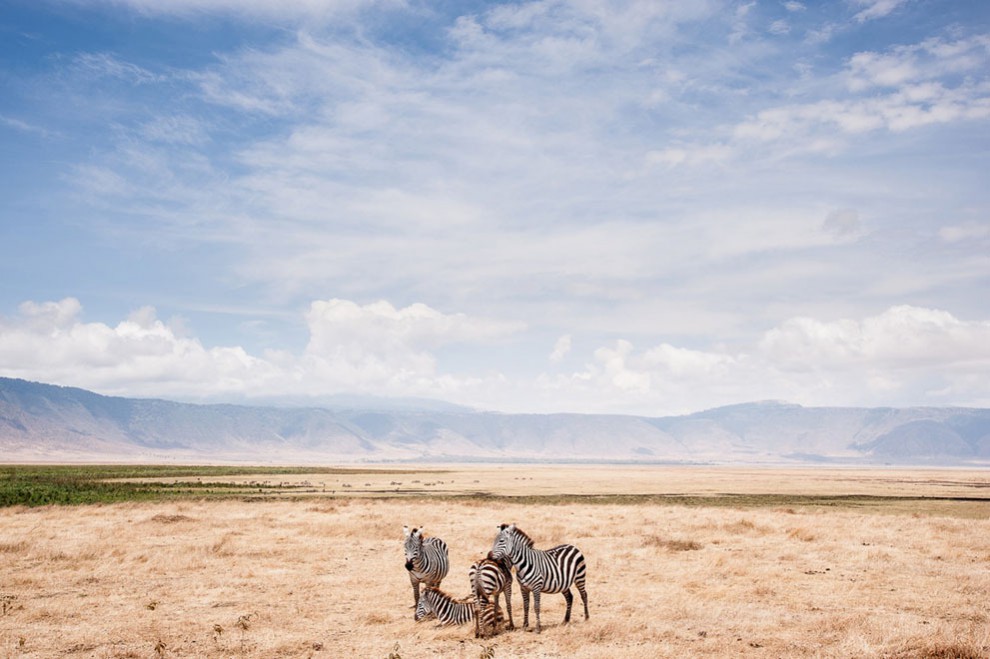 Фото года national geographic