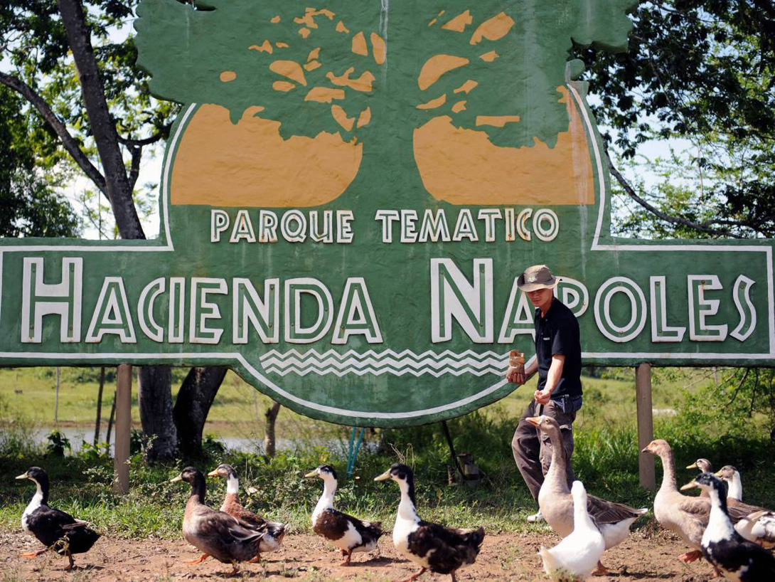 После убийства Эскобара в 1993 году правительство оставило конфискованную землю со всей недвижимостью на некоторое время  без присмотра и очень скоро от Hacienda Napoles остались одни руины.