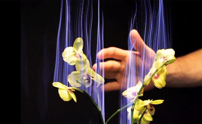 Botanicus Interacticus 0