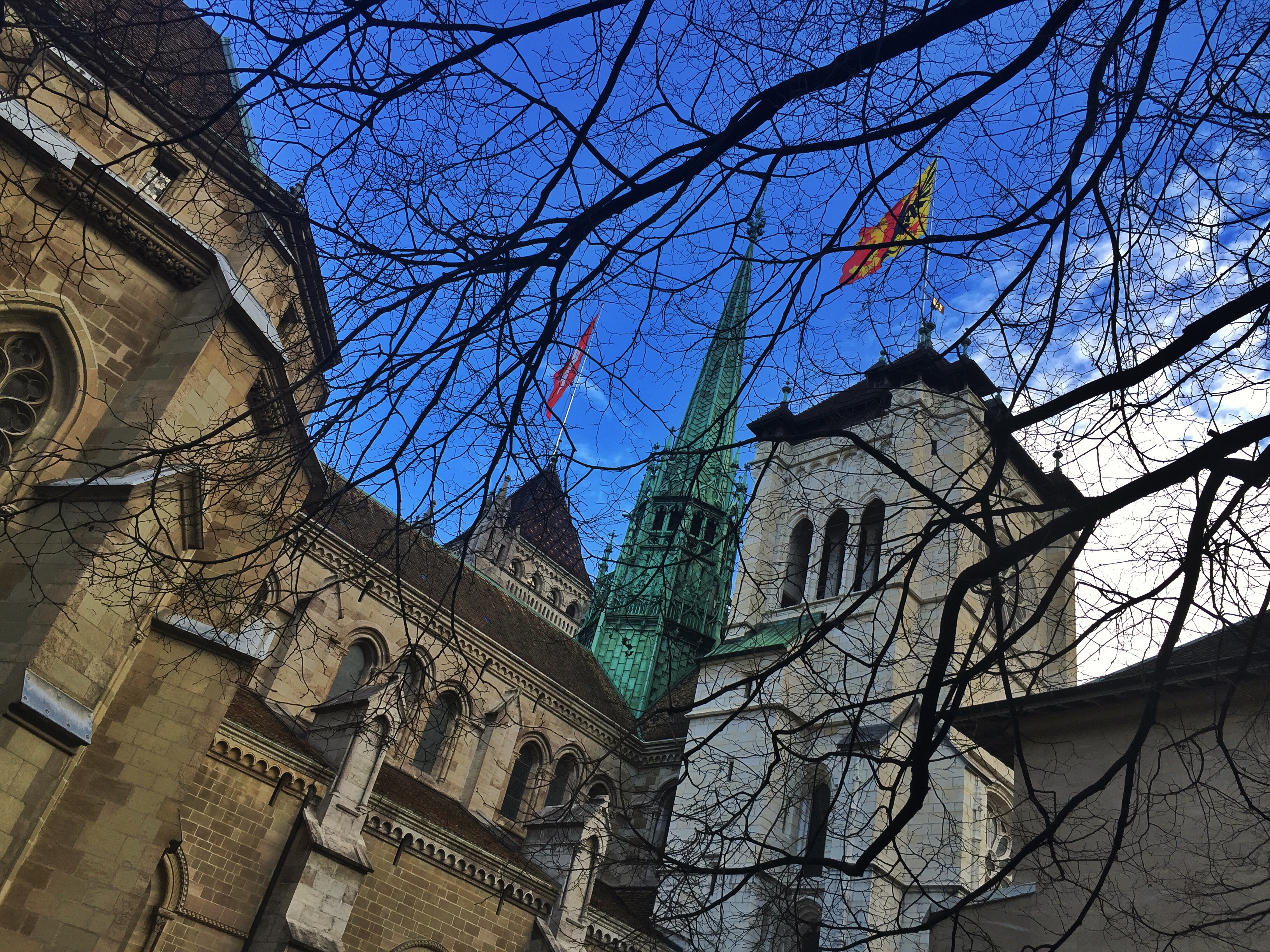 ����� ������� �����