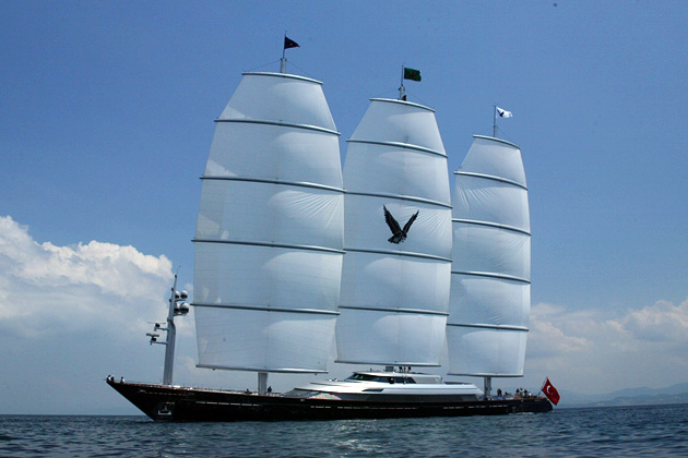 Maltese Falcon