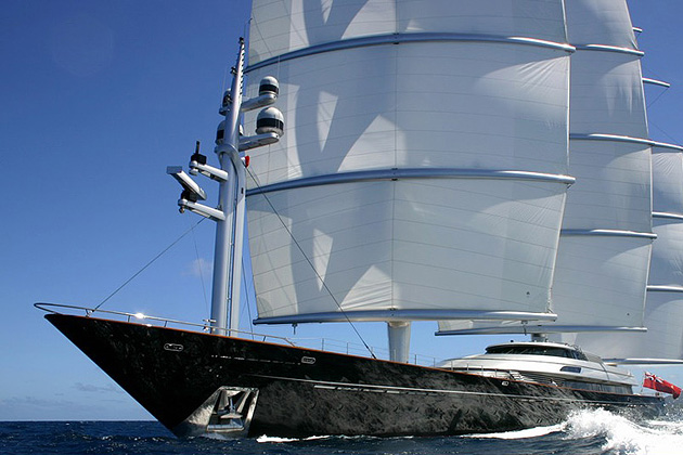 Maltese Falcon