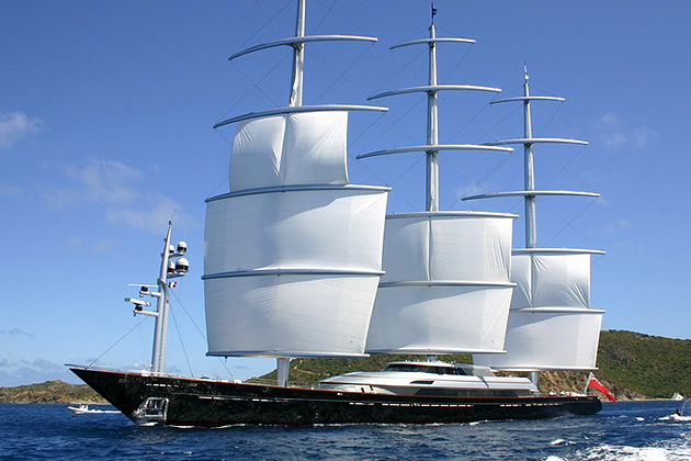 Maltese Falcon