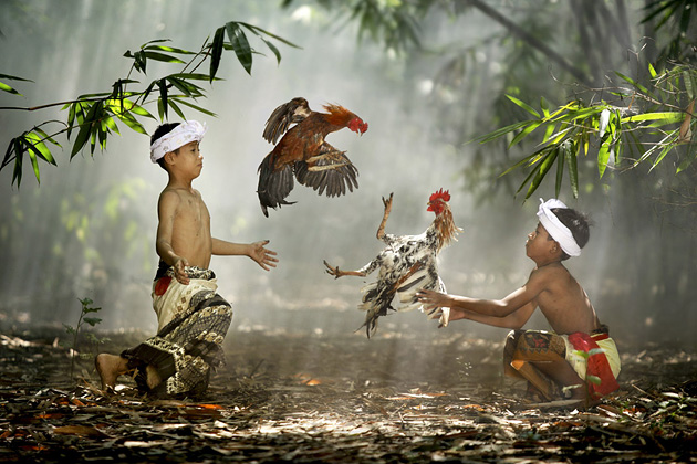   (Ario Wibisono), National Geographic's Photo Contest 2010