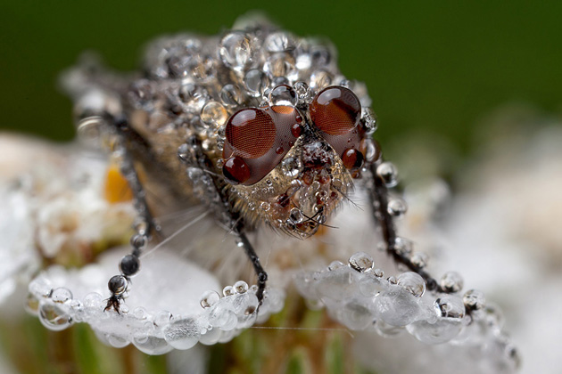   (Audun Wigen), National Geographic's Photo Contest 2010