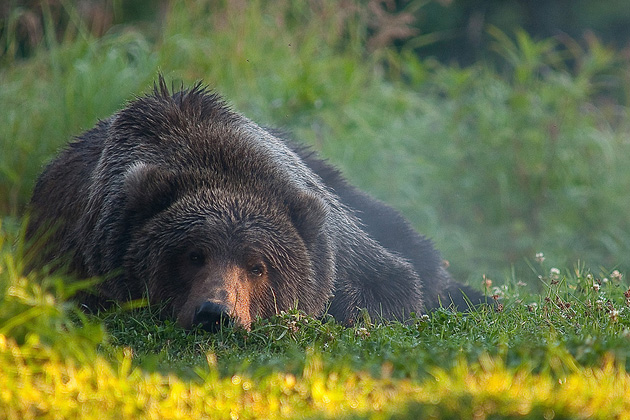   (James Haskins), National Geographic's Photo Contest 2010