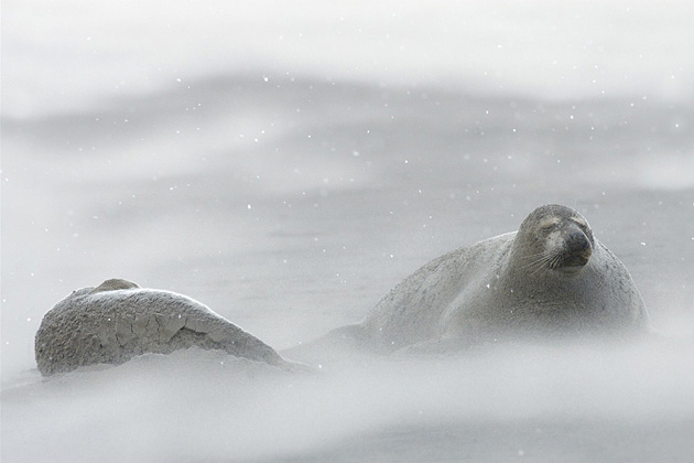   (Eric Garnett), National Geographic's Photo Contest 2010