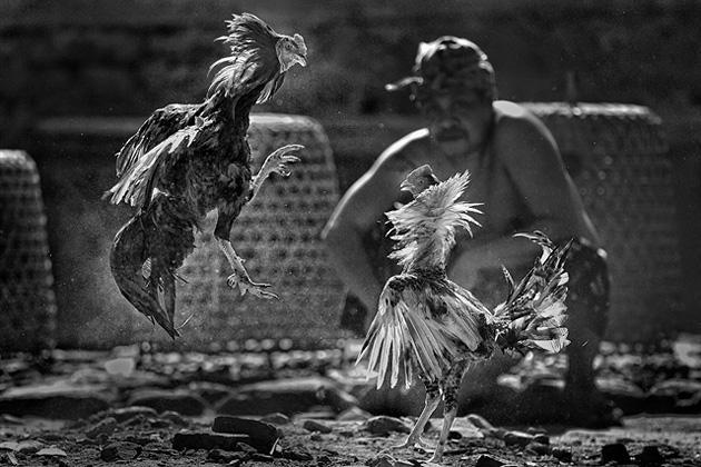 The duel by Hubert Januar