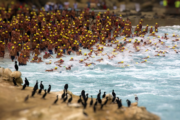 La Jolla Roughwater Swim by Lee_Sie
