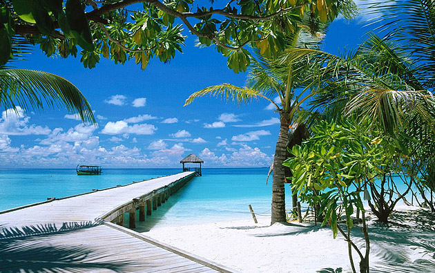 Weber Shandwick, Future brand, ��������, �����������, ������, ������