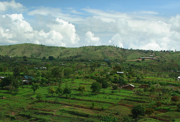 �����������, ������, ������, �����