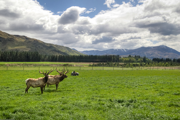  , South Island, , , , National Geographic Traveler,  