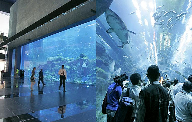 The Dubai Mall: мечта шопоголика, Торговые Центры, The Dubai Mall, шопинг, путешествия