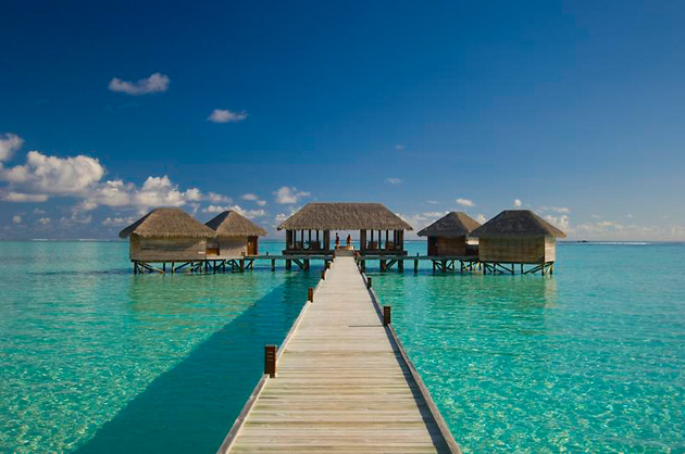 Conrad Maldives Hotel, �����, �����������, ������