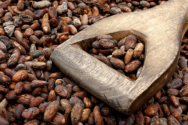 Cacao